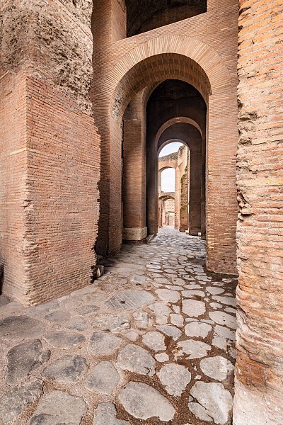 Domus Tiberiana Cryptoporticus