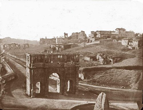 Meta Sudans Meta Sudans