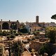 A view of the Colosseum from the Palatine Hill