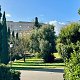 Visita guiada al Coliseo, el Palatino y el Foro Romano | Entradas sin colas