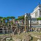 Tour sin colas al Coliseo, el Foro Romano y el Palatino
