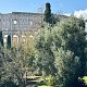 Visita guiada al Coliseo, el Palatino y el Foro Romano | Entradas sin colas