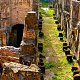 Visita guiada al Coliseo, el Palatino y el Foro Romano | Entradas sin colas